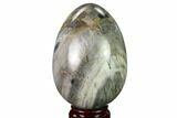 Polished Petrified Wood Egg - Madagascar #172776-1